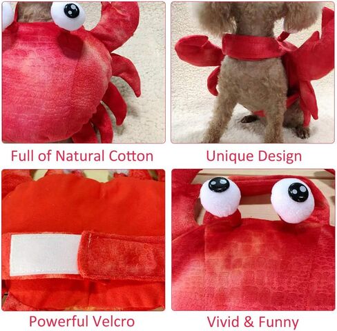 زي سرطان البحر للكلاب الأليفة، فستان تنكري للهالوين، ملابس تنكرية لطيفة لعطلة الحيوانات الأليفة، ملابس تنكرية للهالوين، زي ذو ساقين للكلاب الصغيرة والمتوسطة، زي الهالوين للكلاب المضحكة لحفلات عيد الميلاد التنكرية in Kuwait