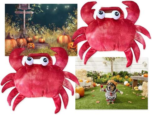 زي سرطان البحر للكلاب الأليفة، فستان تنكري للهالوين، ملابس تنكرية لطيفة لعطلة الحيوانات الأليفة، ملابس تنكرية للهالوين، زي ذو ساقين للكلاب الصغيرة والمتوسطة، زي الهالوين للكلاب المضحكة لحفلات عيد الميلاد التنكرية in Kuwait