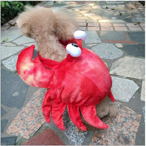 زي سرطان البحر للكلاب الأليفة، فستان تنكري للهالوين، ملابس تنكرية لطيفة لعطلة الحيوانات الأليفة، ملابس تنكرية للهالوين، زي ذو ساقين للكلاب الصغيرة والمتوسطة، زي الهالوين للكلاب المضحكة لحفلات عيد الميلاد التنكرية in Kuwait