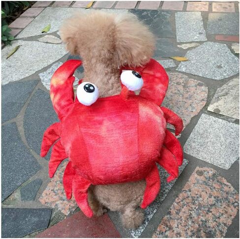 زي سرطان البحر للكلاب الأليفة، فستان تنكري للهالوين، ملابس تنكرية لطيفة لعطلة الحيوانات الأليفة، ملابس تنكرية للهالوين، زي ذو ساقين للكلاب الصغيرة والمتوسطة، زي الهالوين للكلاب المضحكة لحفلات عيد الميلاد التنكرية in Kuwait