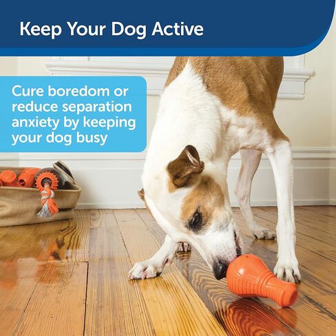 PetSafe Squeak n’ Treat Booya - Cure Boredom & Reduce Separation Anxiety - Food-Dispensing Dog Toy - Squeaker Encourages Play - Slow Down Eating - Helps Clean Teeth - Dishwasher Safe - Large in Saudi Arabia