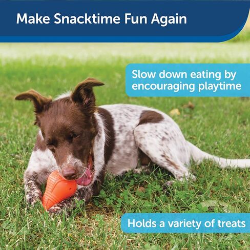 PetSafe Squeak n’ Treat Booya - Cure Boredom & Reduce Separation Anxiety - Food-Dispensing Dog Toy - Squeaker Encourages Play - Slow Down Eating - Helps Clean Teeth - Dishwasher Safe - Large in Saudi Arabia