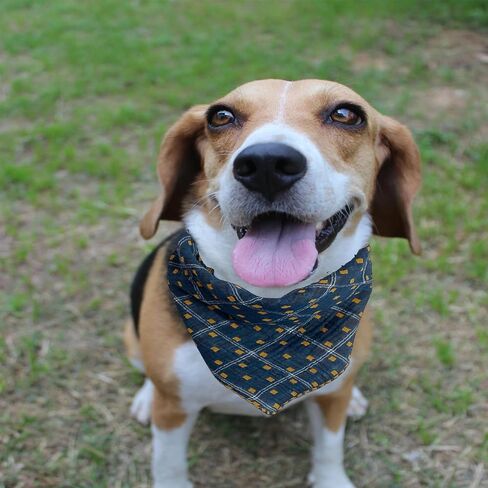 Dog Bandanas for Small Medium Dogs, Dual-Sided Use Bandanas for Pets, Adjustable Durable for Puppy (Blue & Yellow) in Saudi Arabia