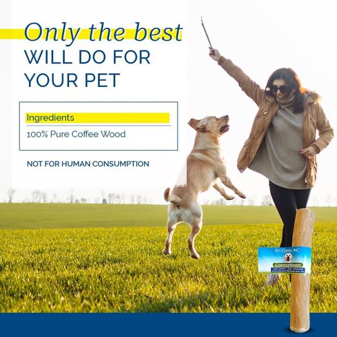 Pet Center, Inc مكافآت مضغ من خشب القهوة للكلاب - آمنة ومتينة - 100% من خشب القهوة الطبيعي والمستدام - بديل طويل الأمد لألعاب مضغ الكلاب - مثالية للمضغ العدواني - متوسط in Kuwait