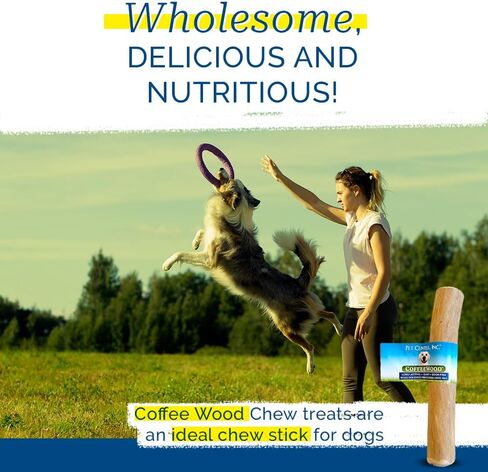 Pet Center, Inc مكافآت مضغ من خشب القهوة للكلاب - آمنة ومتينة - 100% من خشب القهوة الطبيعي والمستدام - بديل طويل الأمد لألعاب مضغ الكلاب - مثالية للمضغ العدواني - متوسط in Kuwait
