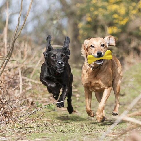 Dog Toys for Aggressive Chewers Dog SuperChewy Tough Dog Bone Toy for Large Medium Dogs Breed Strong Natural Rubber in Saudi Arabia