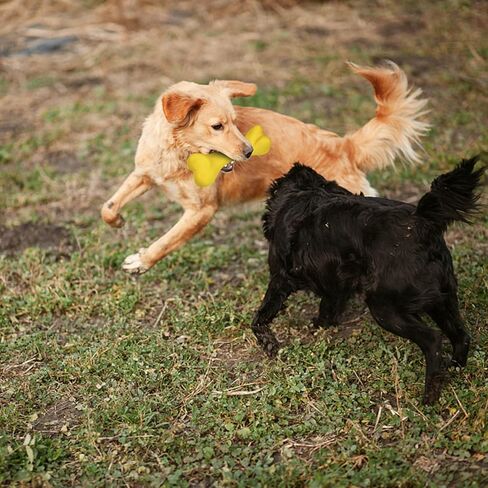 Dog Toys for Aggressive Chewers Dog SuperChewy Tough Dog Bone Toy for Large Medium Dogs Breed Strong Natural Rubber in Saudi Arabia