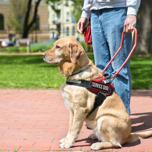 9 Pieces Removable Tactical Service Dog Vest Patches Do Not Pet in Training Dog Patches and Emotional Support Dog Vest Patches Dog Embroidered Patch for Service Dogs Harness Vest Clothes in Saudi Arabia