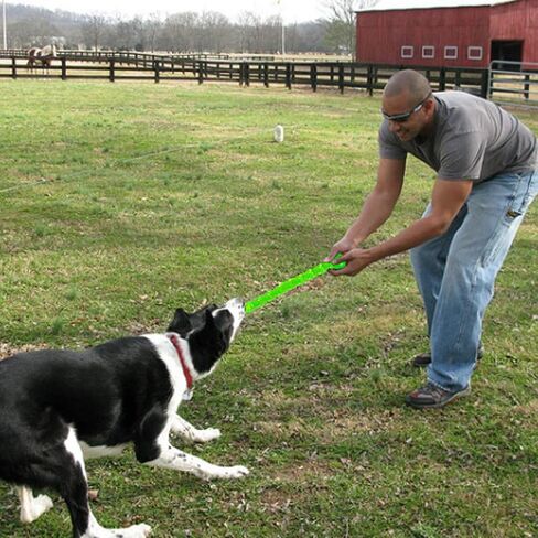 Dog Interactive Toys Rubber Dog Toys Fetch Sticks Chew Durable Dog Interactive Stick for Small Dogs in Saudi Arabia