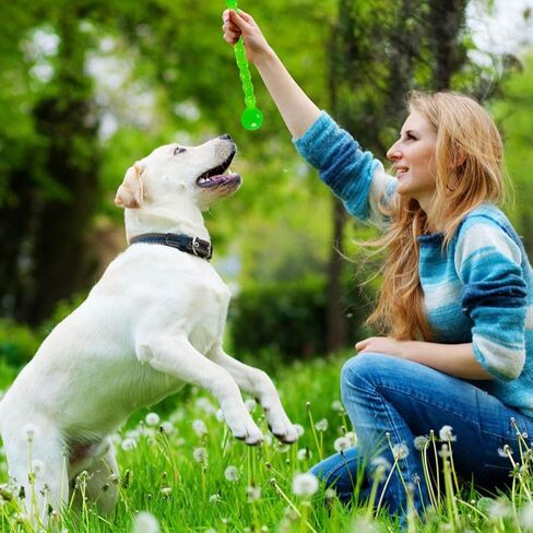 Dog Interactive Toys Rubber Dog Toys Fetch Sticks Chew Durable Dog Interactive Stick for Small Dogs in Saudi Arabia