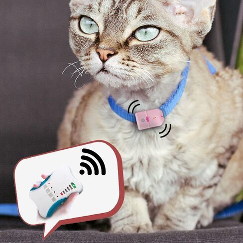 Ardi Cat Finder Pet Tracker أطول مدى يصل إلى 1600 قدم، أخف جهاز تتبع سلامة الحيوانات الأليفة فقط 0.28 أونصة بدون رسوم شهرية، يتضمن جهاز اكتشاف الحيوانات الأليفة للقطط والكلاب جهاز إرسال واحد وعلامة واحدة in Saudi Arabia