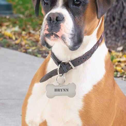 Personalized Pet ID Tags, Solid Brass Dog Tags and Cat Tags,Black Pet Tags for Engraved(Gold) in Saudi Arabia