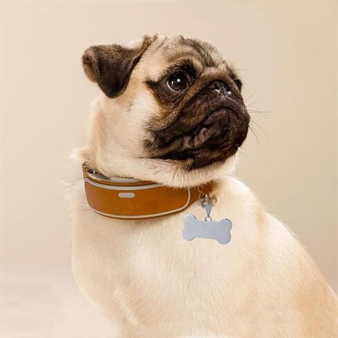Personalized Pet ID Tags, Solid Brass Dog Tags and Cat Tags,Black Pet Tags for Engraved(Gold) in Saudi Arabia