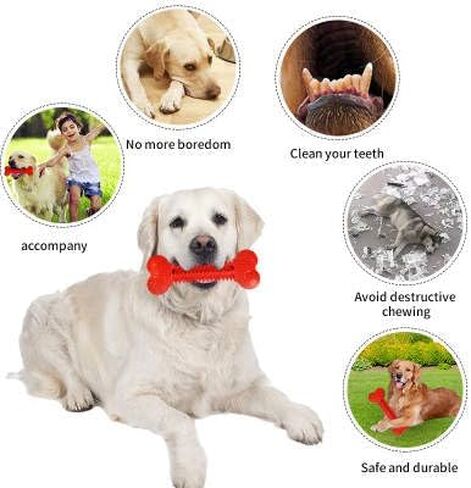 Teething Buddy: Dental Dog Chew Bone Toy for Puppies. (Blue) in Saudi Arabia