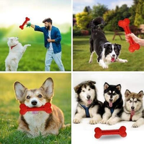 Teething Buddy: Dental Dog Chew Bone Toy for Puppies. (Blue) in Saudi Arabia