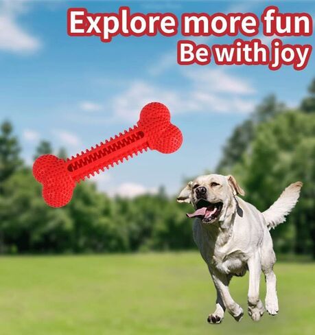 Teething Buddy: Dental Dog Chew Bone Toy for Puppies. (Blue) in Saudi Arabia