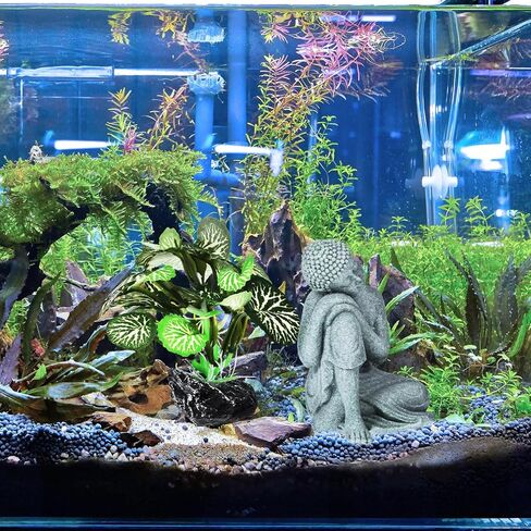 Ipetboom Fish Tank Buddha, 1 Set Aquarium Decorations Buddha Fish Tank Aquatic Leaf Buddha Decor for Home in Saudi Arabia