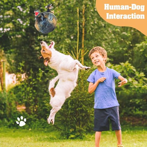 لعبة الكلب فوشير التي تصدر صوت صرير، لعبة إخفاء الديناصورات والبحث عن الكلاب، لعبة ألغاز تفاعلية للحيوانات الأليفة للكلاب المتوسطة والصغيرة، لون عشوائي in Kuwait