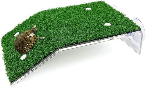 منصة تشمس السلحفاة، حوض السمك، شرفة السلحفاة، ديكور الخزان المنحدر، جزيرة السلحفاة، منطقة الفرح، رف السلحفاة الكبير، موئل، صخرة الفرح، السلحفاة، الحوض العائم، سلم الزواحف، شرفة الاستراحة in Kuwait