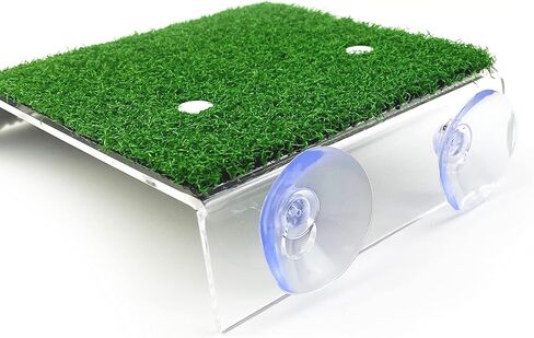 منصة تشمس السلحفاة، حوض السمك، شرفة السلحفاة، ديكور الخزان المنحدر، جزيرة السلحفاة، منطقة الفرح، رف السلحفاة الكبير، موئل، صخرة الفرح، السلحفاة، الحوض العائم، سلم الزواحف، شرفة الاستراحة in Kuwait