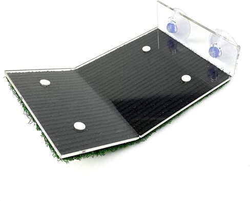 منصة تشمس السلحفاة، حوض السمك، شرفة السلحفاة، ديكور الخزان المنحدر، جزيرة السلحفاة، منطقة الفرح، رف السلحفاة الكبير، موئل، صخرة الفرح، السلحفاة، الحوض العائم، سلم الزواحف، شرفة الاستراحة in Kuwait