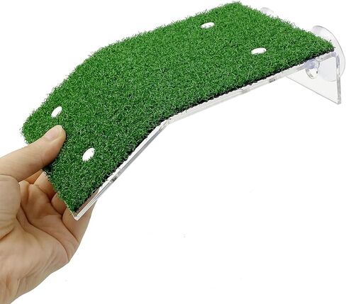 منصة تشمس السلحفاة، حوض السمك، شرفة السلحفاة، ديكور الخزان المنحدر، جزيرة السلحفاة، منطقة الفرح، رف السلحفاة الكبير، موئل، صخرة الفرح، السلحفاة، الحوض العائم، سلم الزواحف، شرفة الاستراحة in Kuwait