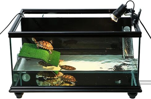 منصة تشمس السلحفاة، حوض السمك، شرفة السلحفاة، ديكور الخزان المنحدر، جزيرة السلحفاة، منطقة الفرح، رف السلحفاة الكبير، موئل، صخرة الفرح، السلحفاة، الحوض العائم، سلم الزواحف، شرفة الاستراحة in Kuwait