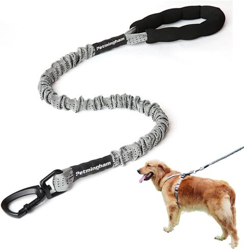Strong Bungee Elastic Dog Leash with Comfortable Padded Handle Zinc Alloy Hardware Heavy Duty Shock Absorbing Training Leash for Large & Strong Dogs in Kuwait