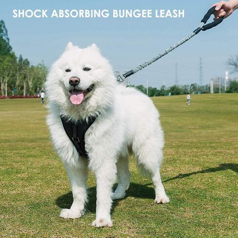 Strong Bungee Elastic Dog Leash with Comfortable Padded Handle Zinc Alloy Hardware Heavy Duty Shock Absorbing Training Leash for Large & Strong Dogs in Kuwait
