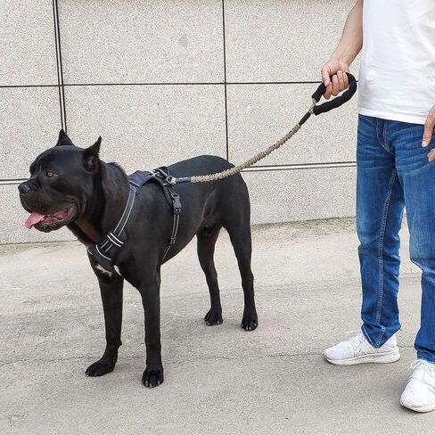 Strong Bungee Elastic Dog Leash with Comfortable Padded Handle Zinc Alloy Hardware Heavy Duty Shock Absorbing Training Leash for Large & Strong Dogs in Saudi Arabia
