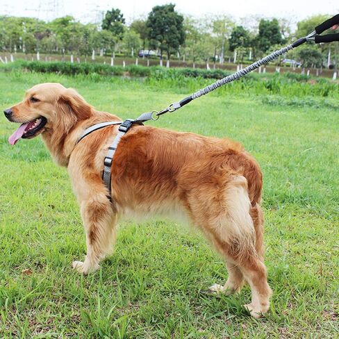 Strong Bungee Elastic Dog Leash with Comfortable Padded Handle Zinc Alloy Hardware Heavy Duty Shock Absorbing Training Leash for Large & Strong Dogs in Kuwait