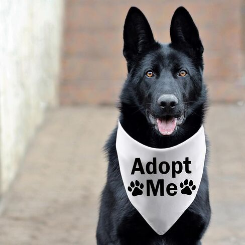 Funny Dog Bandana Dog Scarf Adopt Me Triangle Printed Bibs Pet Scarf for Pet Birthday Gift (Adopt Me) in Saudi Arabia