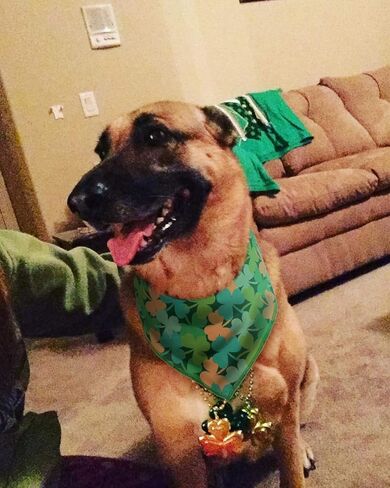 2 Pack Easter Dog Bandana,Triangle Bibs Pet Scarf for Medium to Large Dogs in Saudi Arabia