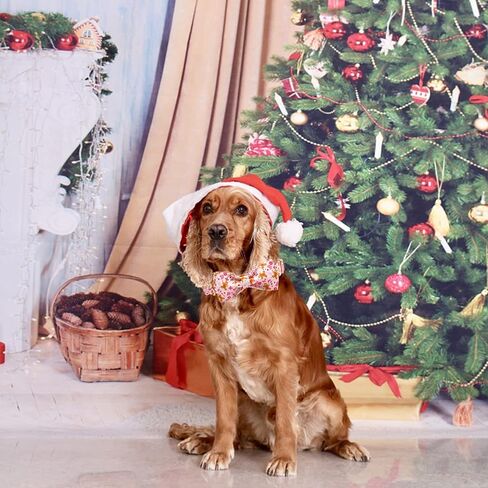 Elegant little tail Dog Collar with bow - Fall Dog Collar Bow Thanksgiving Turkey Bow Girl Boy Pet Collar Soft Dog Bowtie Collars for Medium Dogs in Saudi Arabia