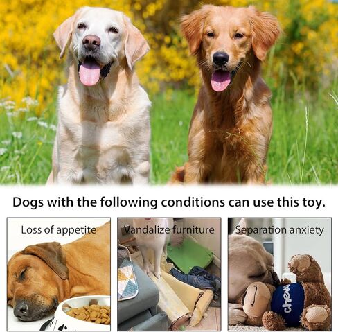 XIGGA Fun Squeaky Plush Interactive Teething Chewing Dog Toys, Canned Beer Shaped Trend Great Value for Small, Medium & Large Dogs Playing Two Packs in Saudi Arabia