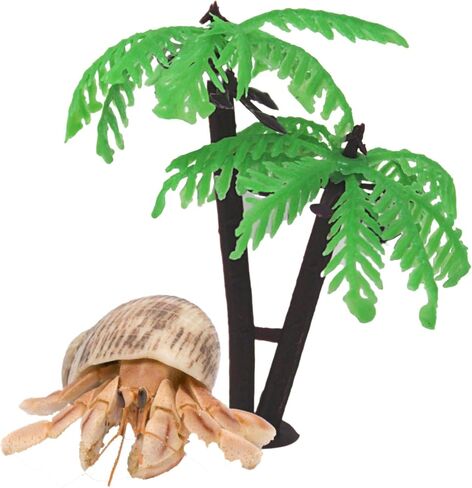 Needzo Hermit Crab Terrarium Palm Tree Accessory, Food and Water Shell Dish, 3 Inches (Pack of 3) in Saudi Arabia