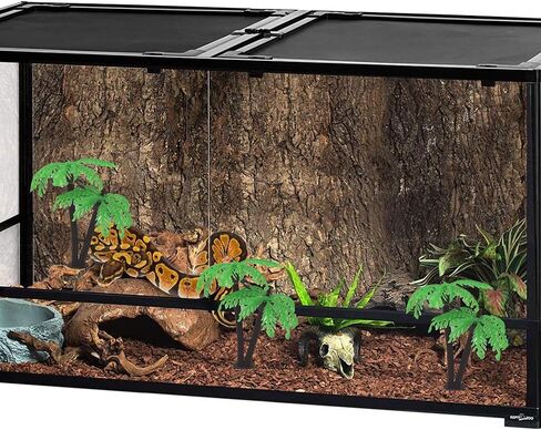 Needzo Hermit Crab Terrarium Palm Tree Accessory, Food and Water Shell Dish, 3 Inches (Pack of 3) in Saudi Arabia