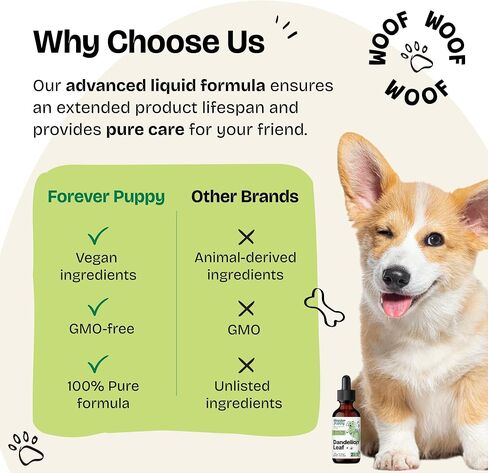 Dandelion Leaf Tincture for Dogs - Kidney Supplements for Dogs of All Breeds & Sizes - Dandelion Drops for Dogs - Herbal Dog Kidney Supplement - Vegan Kidney and Bladder Support Vitamins - 2 oz in Saudi Arabia
