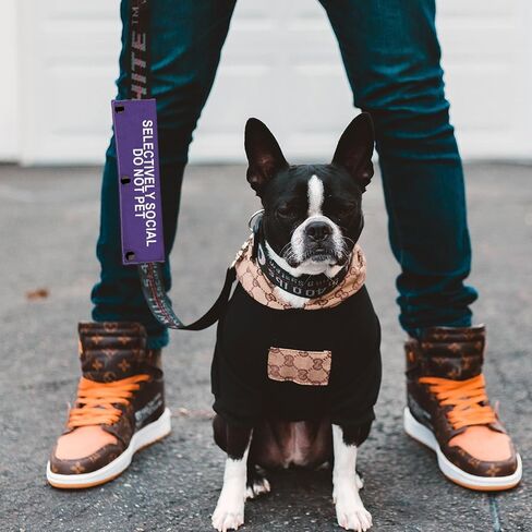 Selectively Social Dog Leash Sleeve Do Not Pet Dog Leash Wrap Social Distancing Dog Patch (Selectively Social) in Kuwait