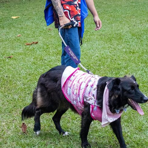 Selectively Social Dog Leash Sleeve Do Not Pet Dog Leash Wrap Social Distancing Dog Patch (Selectively Social) in Kuwait