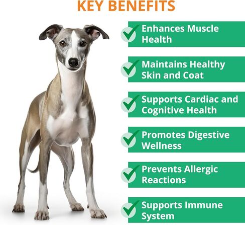 Natural Vegan Dog Treats - for Immune Boosting & Skin Coat Health - All Natural Human Grade Allergen Free Ingredient - Suitable for All Breeds, 5.3 Oz in Saudi Arabia