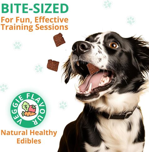 Natural Vegan Dog Treats - for Immune Boosting & Skin Coat Health - All Natural Human Grade Allergen Free Ingredient - Suitable for All Breeds, 5.3 Oz in Saudi Arabia