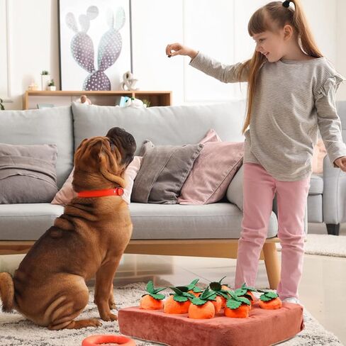 لعبة جزرة الكلب من سومويا، ألعاب ألغاز غنية للكلاب، لعبة إخفاء والبحث عن كلب مزرعة الجزر ألعاب مضغ قطيفة للكلاب الصغيرة والمتوسطة والكبيرة مع 12 جزرة in Kuwait