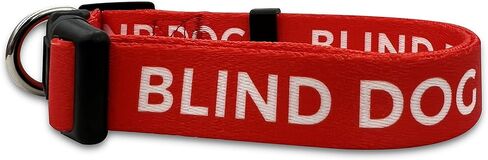 Blind Dog Collar - No Limited Sight Dog Warning - I Am Blind Dog for Small Medium Large Dogs Cats (M, Red) in Kuwait