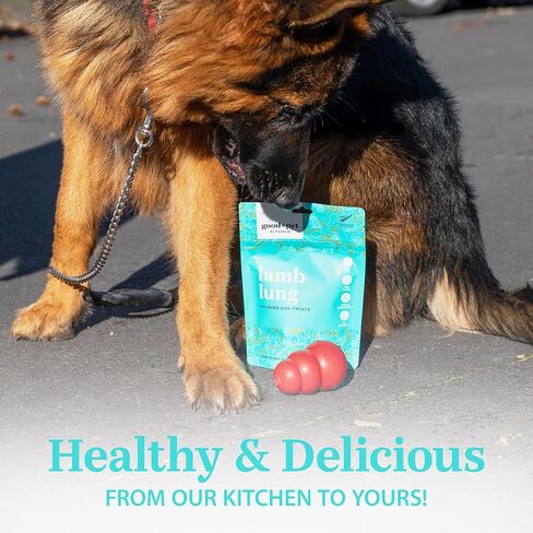 Pet Treats, Air-Dried, Natural, Single Ingredient Dog Treat, Free Range, Grain Free Dog Treats, Toppers, Snacks, Chicken Neck 2.8 oz in Saudi Arabia