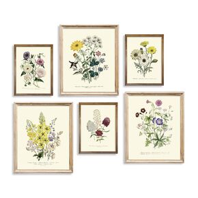 Rustic Modern French Country Cottagecore Wall Art - Watercolor Vintage Flower Poster Print - Primitive Green Magnolia Leaves Pictures Gallery Gift - Farmhouse Plant Botanical Floral Kitchen Room Décor