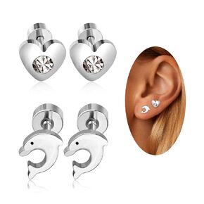 2pcs Screw Back CZ Heart Earrings Studs Dolphin Earrings Studs,Stainless Steel Stud Earrings for Men Women Birthday Anniversar