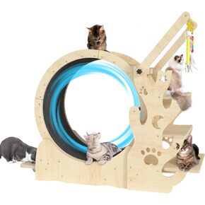 Upgraded Cat Wheel, Cat Exercise Wheel for Indoor Cats, Cat Treadmill with Cat House, Cat Stand, Cat Tree, Cat Bowl, Carpet Run, Cat Amusing Stick, Cat Running Wheel for Kitty's Longer Life in Kuwait