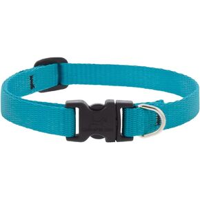 Lupine Small Dog Collar 1/2" Wide Aqua adjusts 10-16" Long