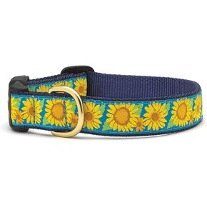 Up Country Bright Sunflower Dog Collar, Medium (12 to 18 inches) 1 inch Wide Width